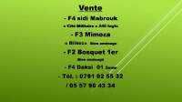 appartement-vente-f4-constantine-algerie