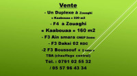 appartement-vente-f4-constantine-algerie