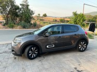 cars-citroen-2024-skikda-algeria