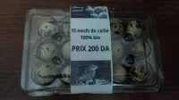 OUEF DE CAILLES بيض السمان 