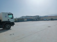 hangar-location-blida-algerie