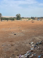 terrain-vente-relizane-oued-rhiou-algerie