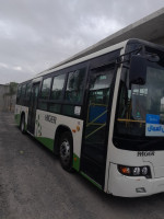 bus-higer-2019-bordj-bou-arreridj-algerie