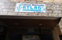 medecine-sante-veterinaire-بيطري-cabinet-atlas-kouba-alger-algerie