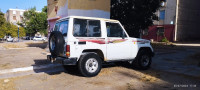 tout-terrain-suv-toyota-land-cruiser-1994-el-bouni-annaba-algerie