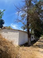 hangar-location-alger-draria-algerie