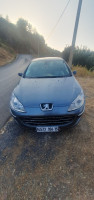 voitures-peugeot-407-2004-akbil-tizi-ouzou-algerie