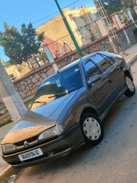 voitures-renault-19-1995-ain-merane-chlef-algerie