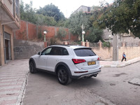 voitures-audi-q5-2013-off-road-dehamcha-setif-algerie