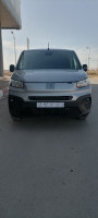 utilitaire-fiat-doblo-2024-relizane-algerie