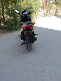Logik Benelli 2020