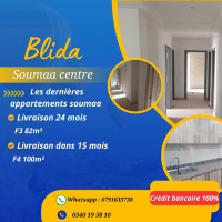 appartement-vente-f4-blida-soumaa-algerie