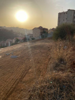 terrain-vente-alger-birkhadem-algerie