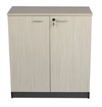 armoire basse 2 portes