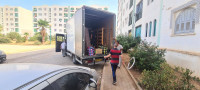 transport-et-demenagement-marchandise-alger-centre-algerie