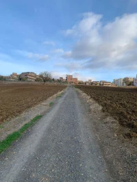 Vente Terrain Medea Ouamri