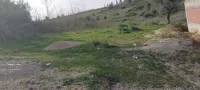 Vente Terrain Jijel Kaous