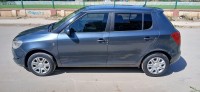 سيارات-skoda-fabia-2014-لارباع-البليدة-الجزائر