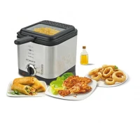 Friteuse Électrique 1.5L 900W Robuste DF-09