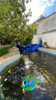 nettoyage-jardinage-piscine-birkhadem-alger-algerie