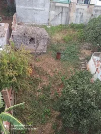 Vente Carcasse Alger El mouradia