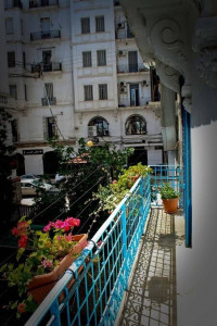 appartement-cherche-location-f2-alger-centre-algerie