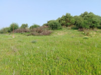 terrain-vente-tizi-ouzou-azazga-algerie