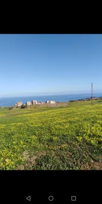 Vente Terrain Tipaza Ain tagourait