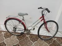 دراجات-هوائية-velo-damme-شراقة-الجزائر