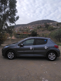 voitures-peugeot-207-2010-bougaa-setif-algerie