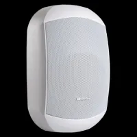 Apart biamp mask 6ctw