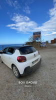 voitures-citroen-c3-2022-city-line-larbaa-blida-algerie