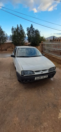 voitures-renault-19-1994-alize-ammi-moussa-relizane-algerie