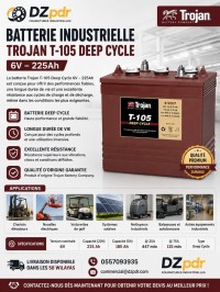 بطاريات-batterie-industrielle-trojan-t-105-deep-cycle-6v-225ah-الرويبة-الجزائر