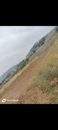 أرض-بيع-البليدة-مفتاح-الجزائر