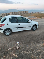 voitures-peugeot-206-2002-mila-algerie