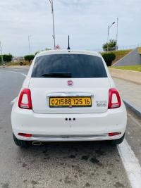 سيارات-fiat-500-2025-dolcevita-mib-القبة-الجزائر