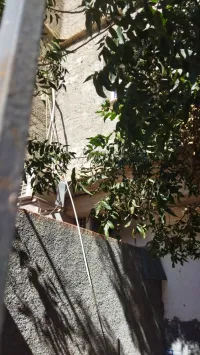 Vente Villa Tipaza Fouka