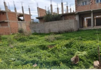 Vente Terrain Blida Ouled selama