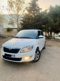 voitures-skoda-fabia-2014-fresh-ain-benian-alger-algerie