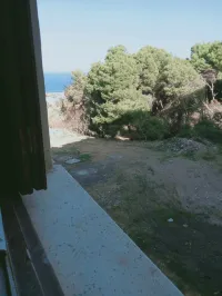 Vente Appartement F04 Tipaza Tipaza
