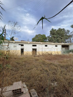 hangar-location-local-boumerdes-boudouaou-algerie