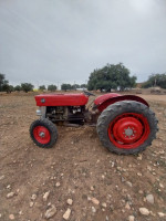 tracteurs-magique-massey-ferguson-145-1960-bechloul-bouira-algerie