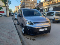 utilitaire-fiat-doblo-2024-meftah-blida-algerie