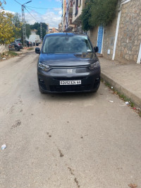 utilitaire-fiat-doblo-2024-ain-defla-algerie