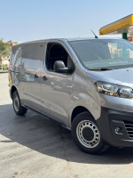 utilitaire-fiat-skodo-2023-150-mamounia-mascara-algerie