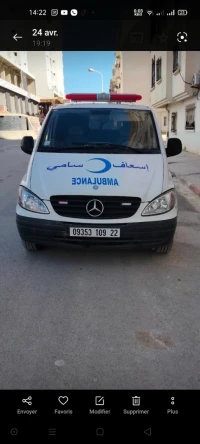 Mercedes Ambulance 2009