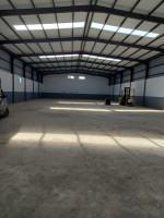 hangar-location-alger-oued-smar-algerie