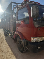 camion-dfac-2007-ain-sefra-naama-algerie