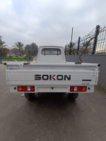 automobiles-dfsk-sokon-2024-blida-algerie